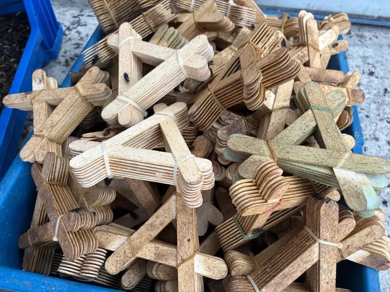 Trays of wooden egg sticks lifted out of a love cage