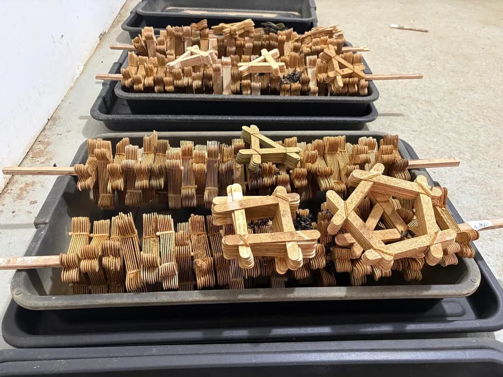 Wooden egg sticks laid out across hatchery incubation trays
