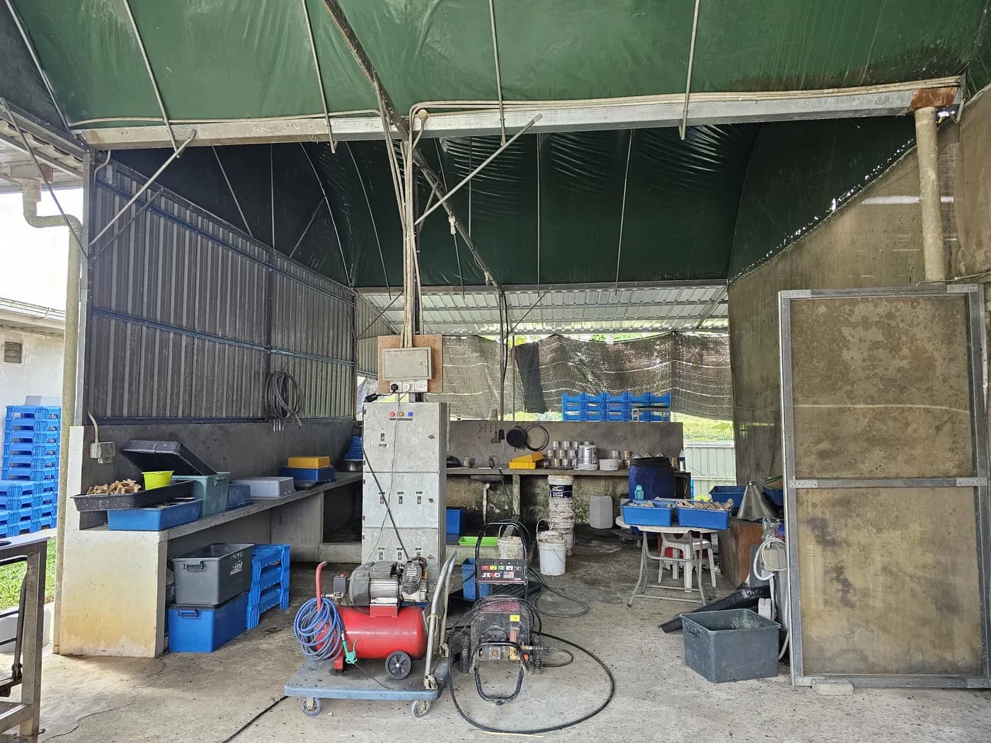 Open-sided work bay under a green tarp, with concrete benches, blue crates and a red compressor used to inspect larvae and substrate